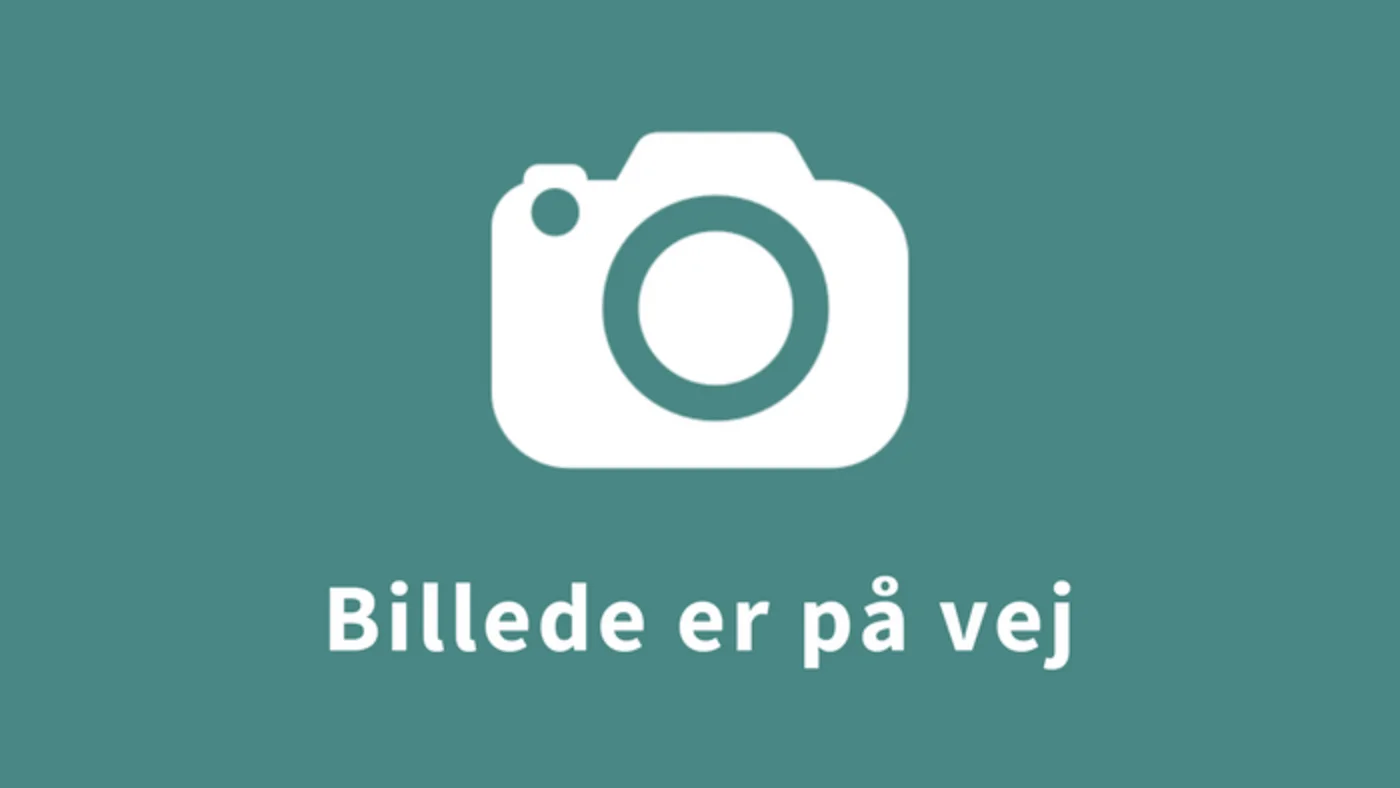 Kemikalier. Pas på dig selv og andre (obligatorisk)